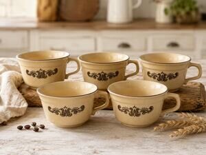 Vintage Lot of 5 Pfaltzgraff Village Flat Tea/Coffee Cups 8oz Stoneware 6-1 USA